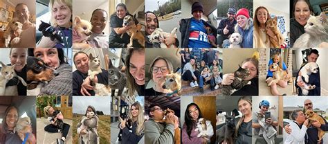 Join the <b>PawBoost</b> Rescue Squad™ The Rescue Squad™ is a group of volunteers, rescue owners, shelter employees, veterinarians, and pet lovers just like you. . Pawboost facebook